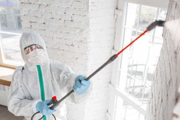 Best Air Quality Testing for Mold Spores  in Pebble Creek, FL