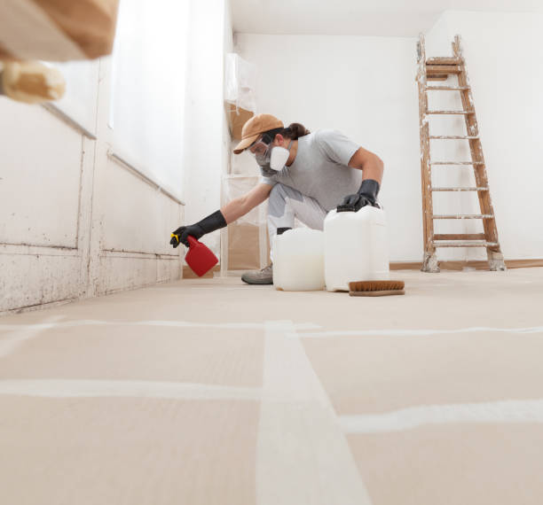 Best Asbestos and Lead Testing During Mold Inspection  in Pebble Creek, FL